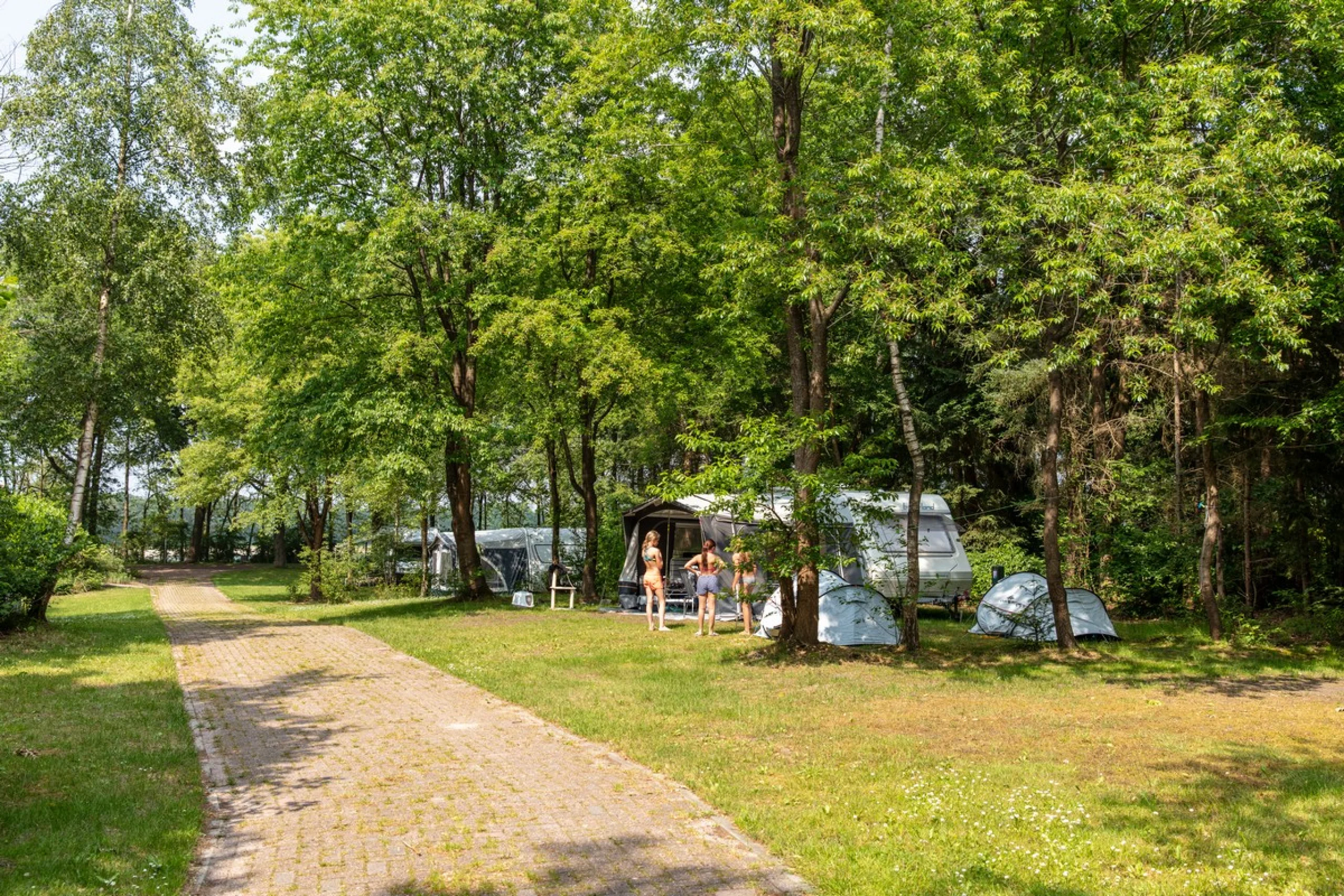 camping-ronostrand-drenthe-met-zwemplas-02-e05c55ae